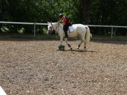 img_4515_web
